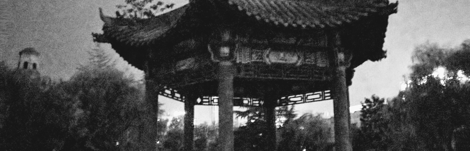 Xi'an University has beautiful gardens and small pagodas surrounded by water or grass/flowers. At night, the city lights shine bright to create a hall around this one. #pagodas #china #travel #xian #blackandwhite