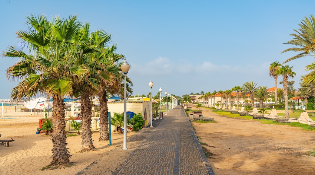 The promenade of Santa Maria on Sal island with palm trees and walking way