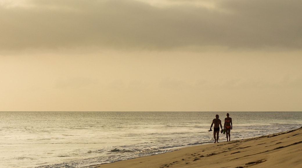 Couple on beach, panorama