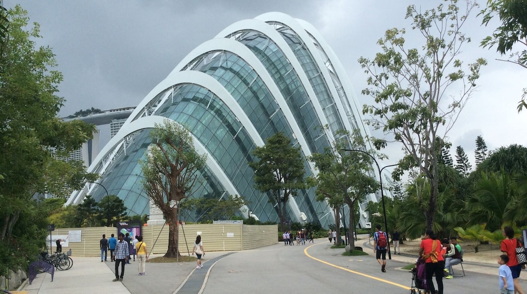 This dome is air-conditioned according to requirements of plants and flowers from all over the world.