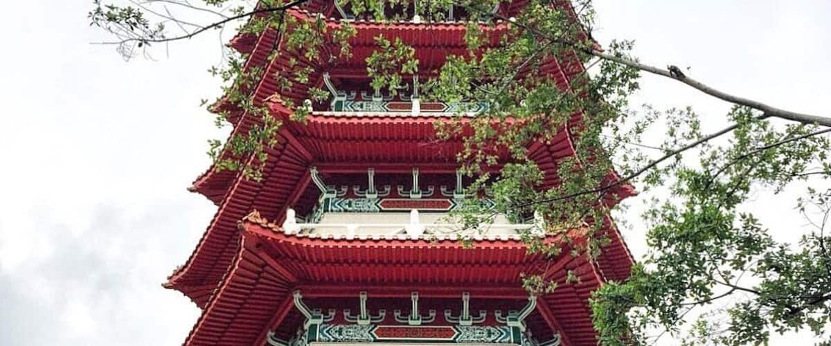 Weekend gateway. Local heritage 
#nature 
#jungle #singapore
#LifeAtExpedia 
#LifeAtHomeAway