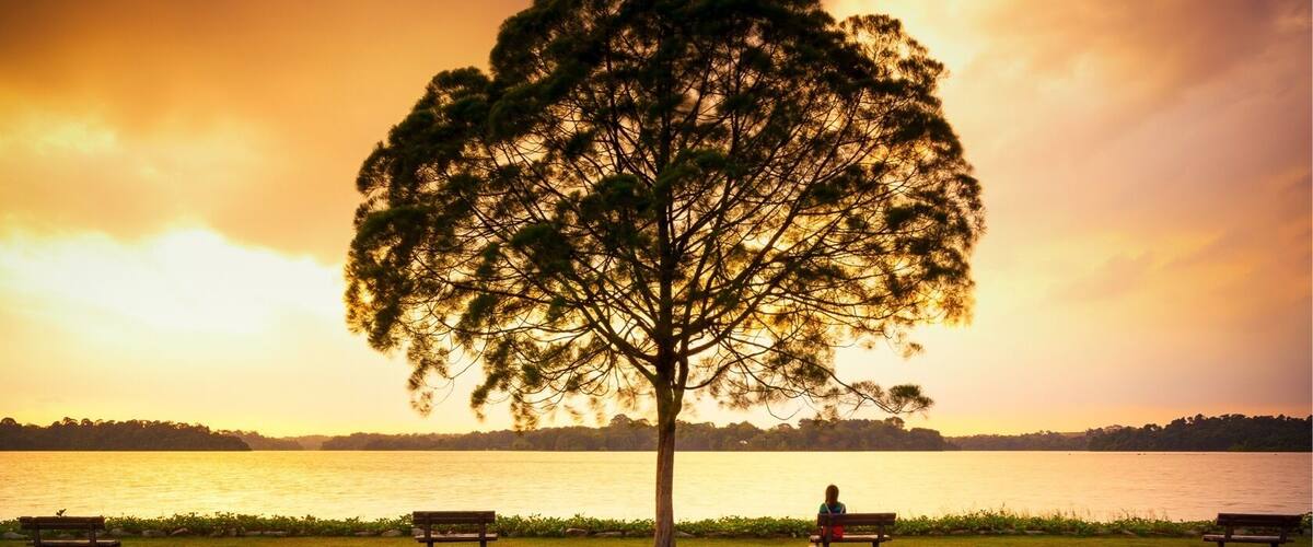 Lonely tree and lady