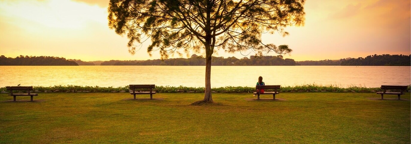 Lonely tree and lady