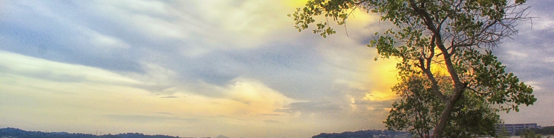 It is great to be back home that I miss most from relatives and friends in Singapore, I have the benefit of having home in 3 different countries, England, Singapore and Hong Kong. An unexplored land on earth - Pasir Ris Park where there is a beautiful sea n beach, wildlife, mangrove swamp and etc. 
#Singapore #landscape #Asia #travel #nationalpark #hiking #water #MyCity #myhometown