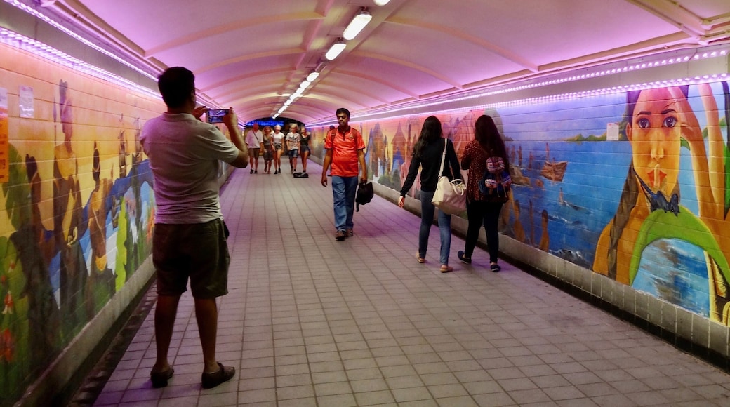 Murals in the underground pedway near Clarke Quay, Singapore.
#mural #street