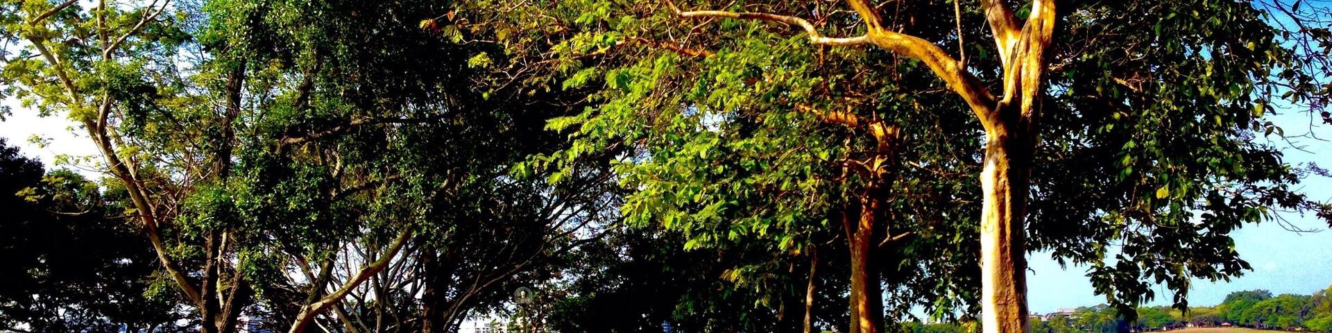 Tree lined path makes this an ideal place to go for a walk. #bvsblue