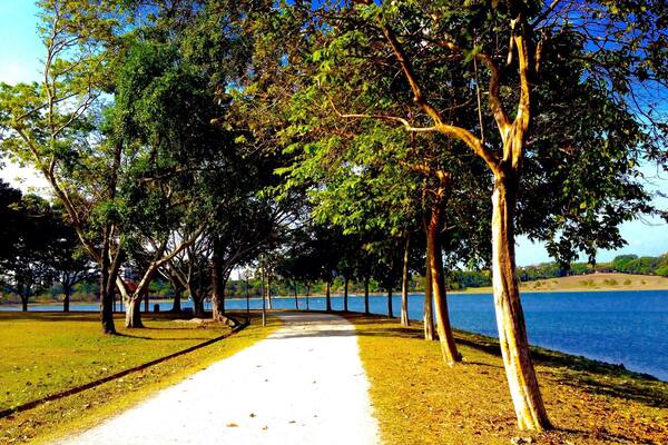 Tree lined path makes this an ideal place to go for a walk. #bvsblue