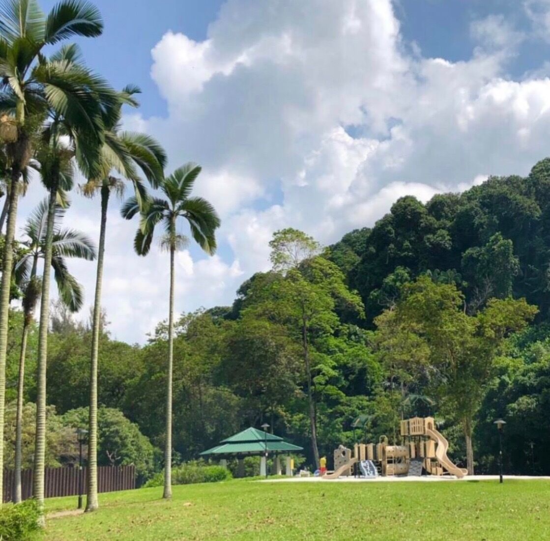 Something we all love about the park...🌈 fresh air, greenery, the smell of the earth and fresh grass, 🌸and lovely birds chirping... But more than that...I always meet new people there...Joyful laughs are all around...i can sense love, i see life...I can feel the touch of kindness...every time I give a smile n say Hi, I get wider smile  and good conversation back...💕 But this time was so special...I even got free lunch n drinks from complete strangers...🤪 ...What the poet, William Butler Yeats, said is true...There are no strangers here; Only friends you haven't yet met.” 🎪🌏 #labradorpark