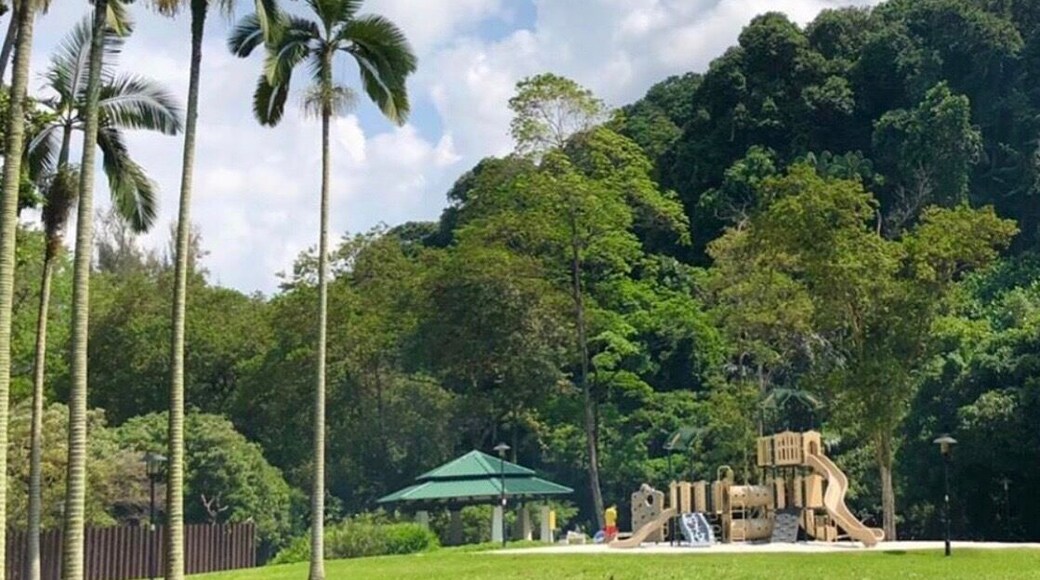 Something we all love about the park...🌈 fresh air, greenery, the smell of the earth and fresh grass, 🌸and lovely birds chirping... But more than that...I always meet new people there...Joyful laughs are all around...i can sense love, i see life...I can feel the touch of kindness...every time I give a smile n say Hi, I get wider smile and good conversation back...💕 But this time was so special...I even got free lunch n drinks from complete strangers...🤪 ...What the poet, William Butler Yeats, said is true...There are no strangers here; Only friends you haven't yet met.” 🎪🌏 #labradorpark