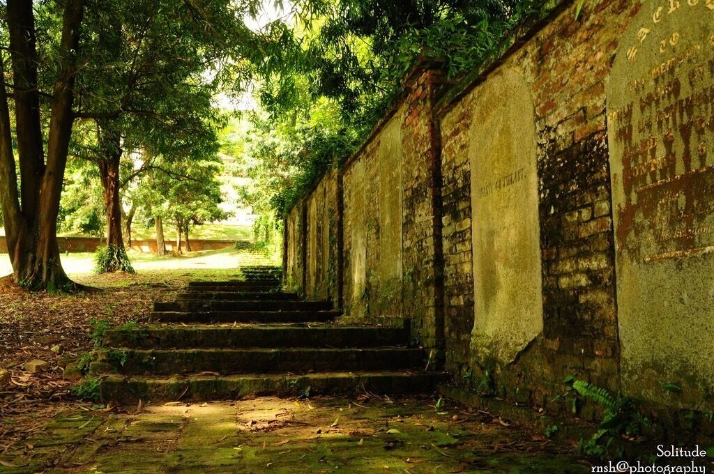 A place to explore for calm in the vibrant city of Singapore. A place to capture past memories. #fortcanningpark #singapore #history