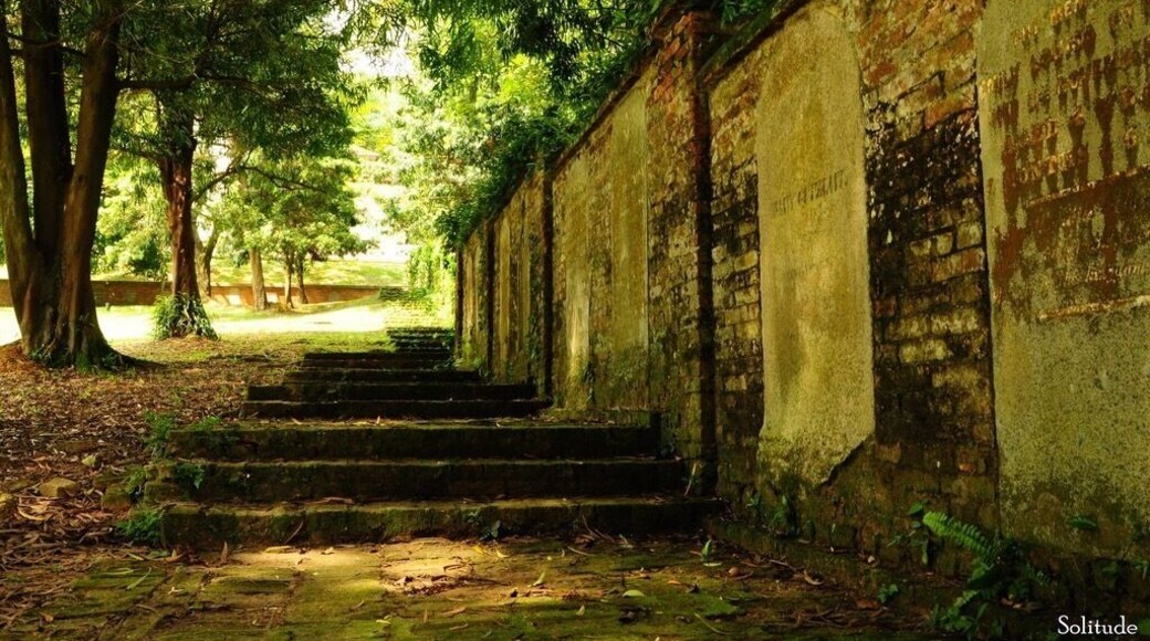 A place to explore for calm in the vibrant city of Singapore. A place to capture past memories. #fortcanningpark #singapore #history