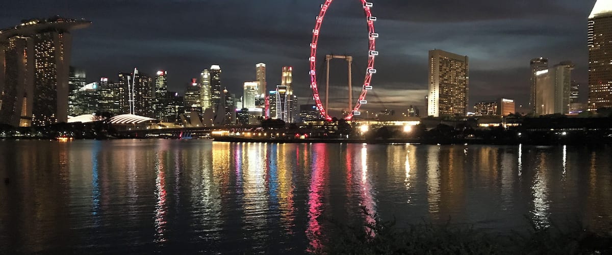 #Reflections #LifeAtExpedia
The inimitable Skyline of Singapore. Viewed from the Park Connector Network at Gardens By the Bay East. An evening job along with bay with a view to die for. Simply amazing.