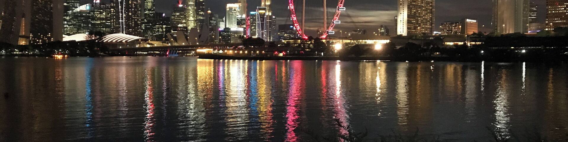 #Reflections #LifeAtExpedia
The inimitable Skyline of Singapore. Viewed from the Park Connector Network at Gardens By the Bay East. An evening job along with bay with a view to die for. Simply amazing.