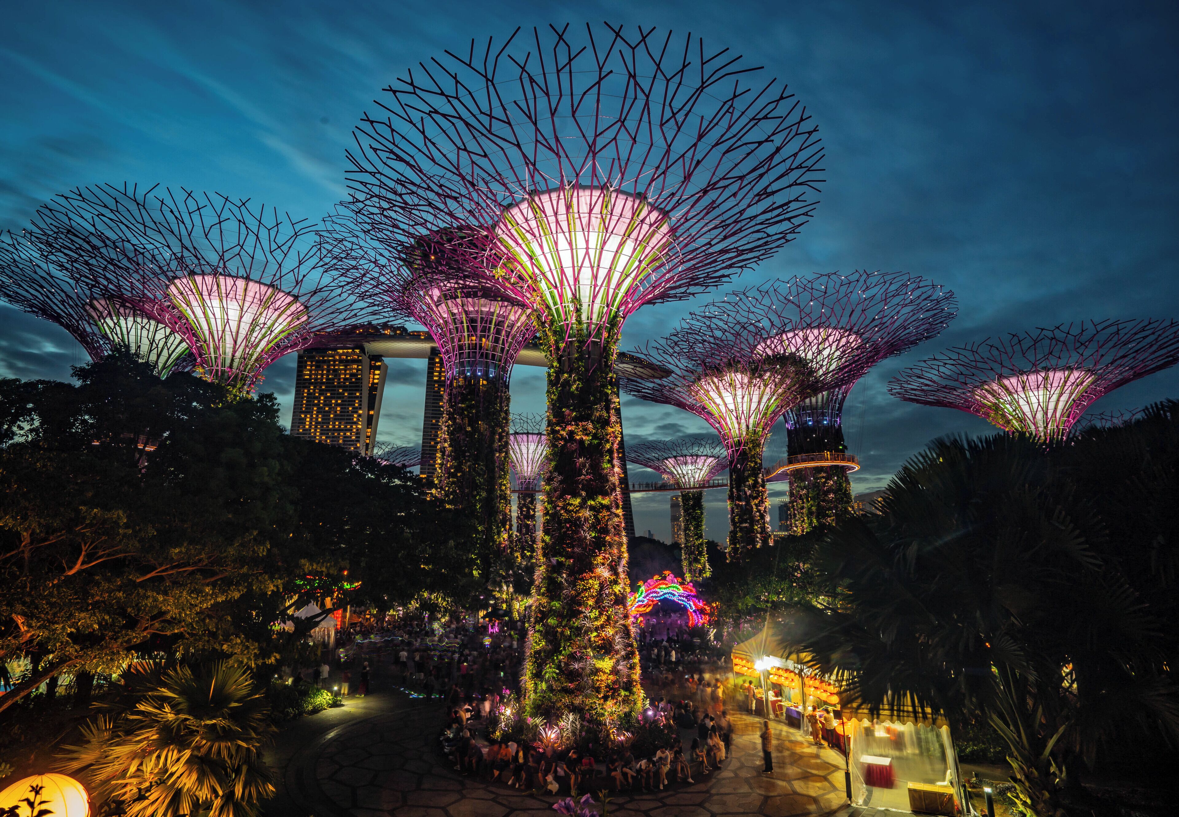 Singapore's very own famous gardens by the bay super trees! 