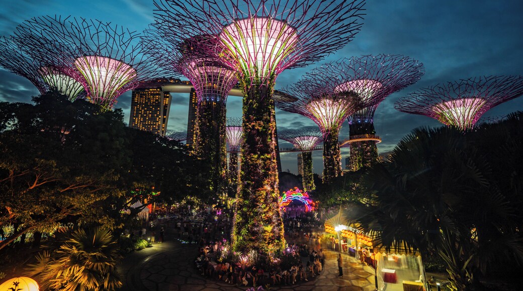 Singapore's very own famous gardens by the bay super trees!