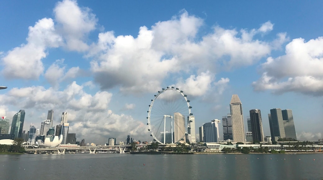 If you enjoy rowing, this is the place to be in Singapore