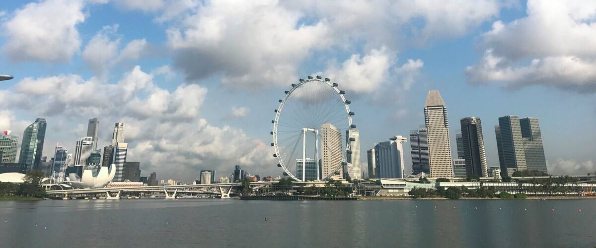 If you enjoy rowing, this is the place to be in Singapore