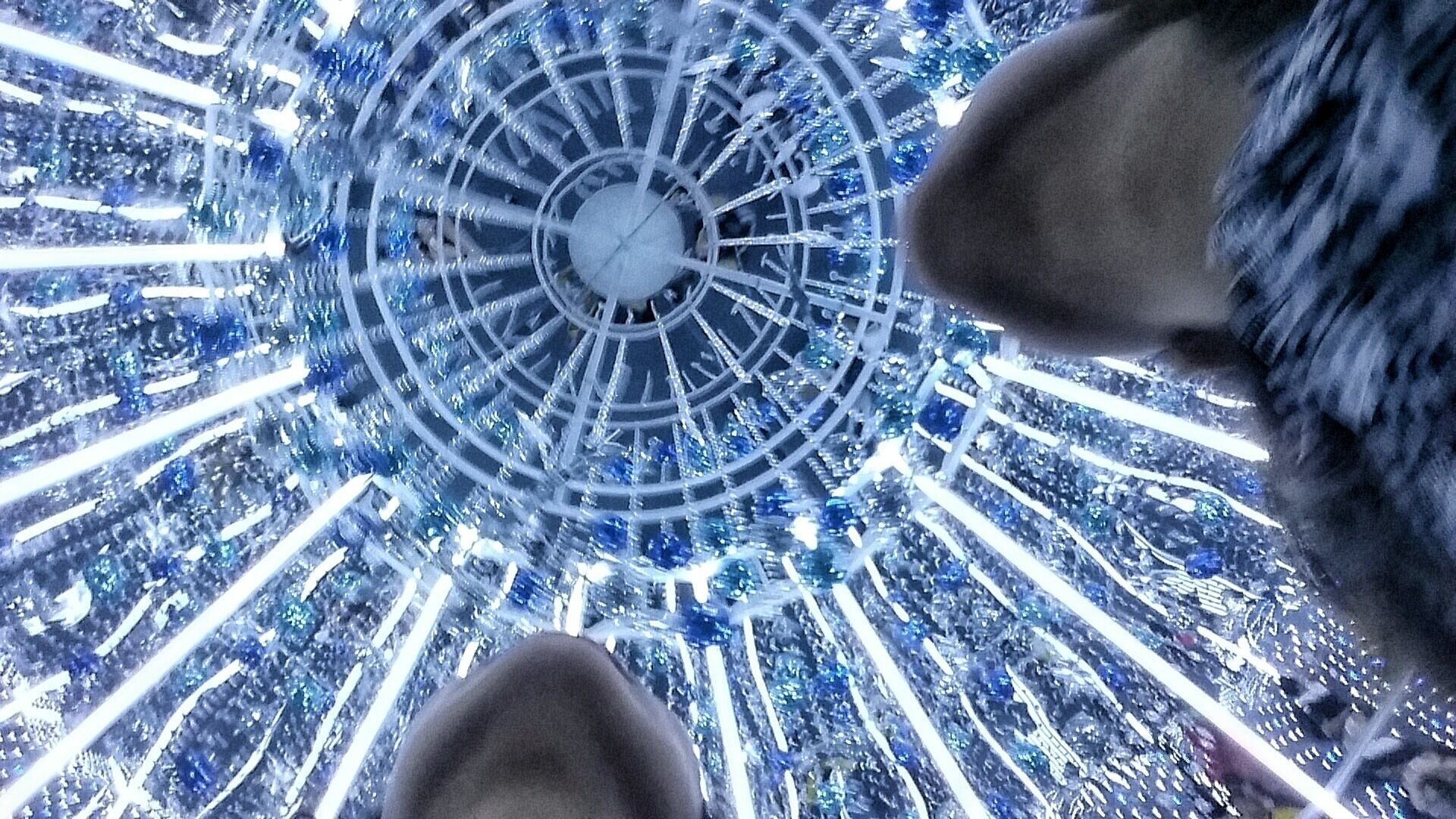 Annual Orchard Christmas Lights

#Crowded place but nice to people watch. Nice energy from people if you want to feel some #Christmas rush!