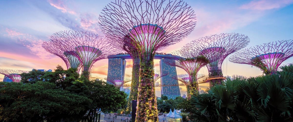 In the middle of Singapore's financial district and surrounded by tall buildings there's this amazing garden full of life.
Refreshing and perfect to spend the afternoon seeing gardens from all over the world and getting a different view form the sky walk until the light show starts.