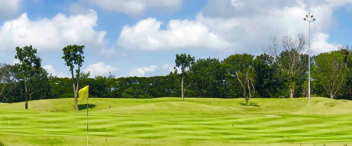 Grey heron at the par 3 hole in Tampines Course