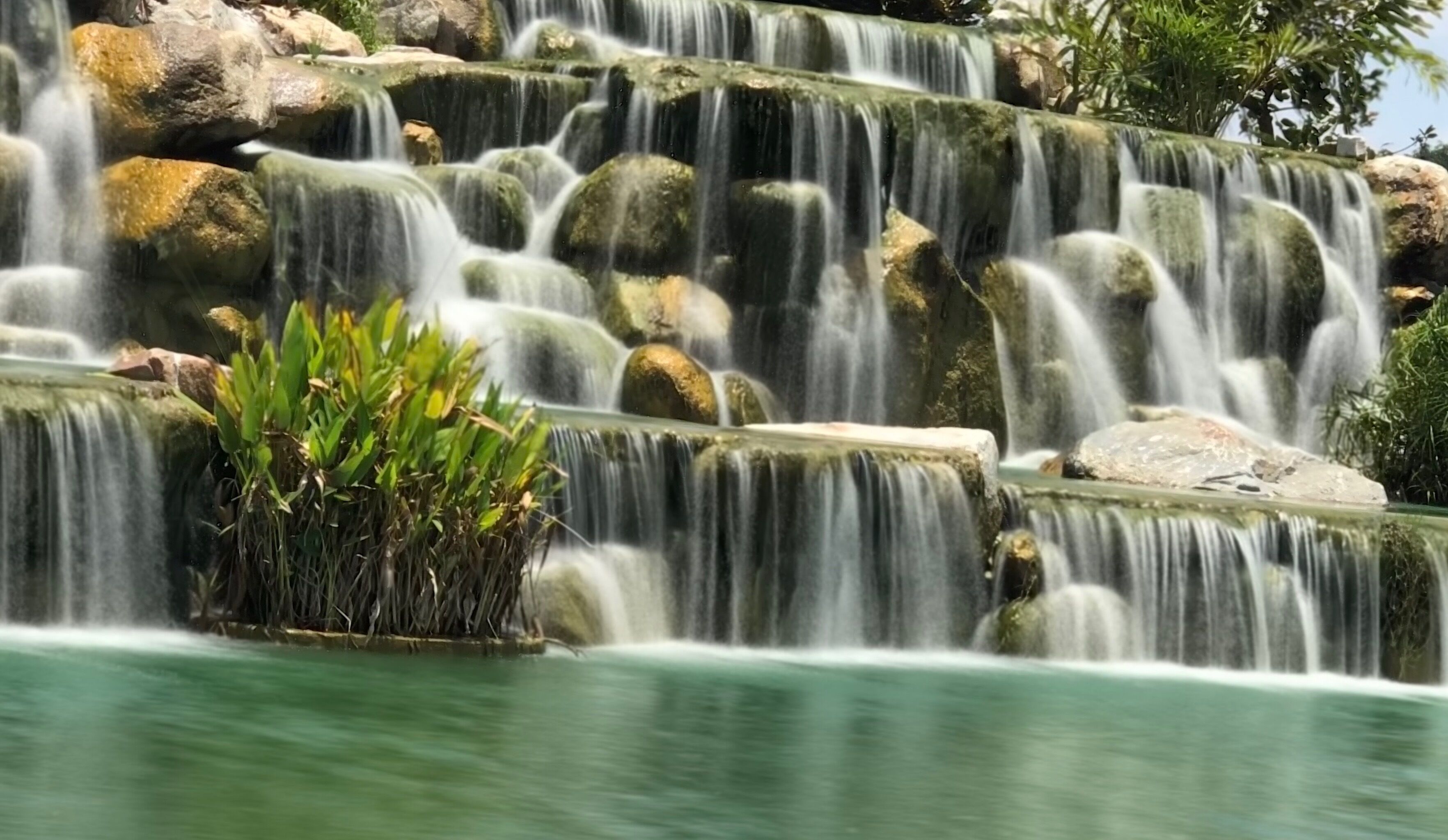 You can always see grey heron here 