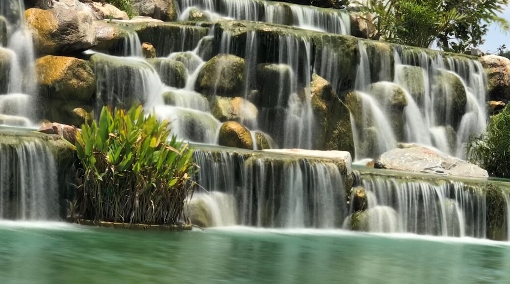 You can always see grey heron here