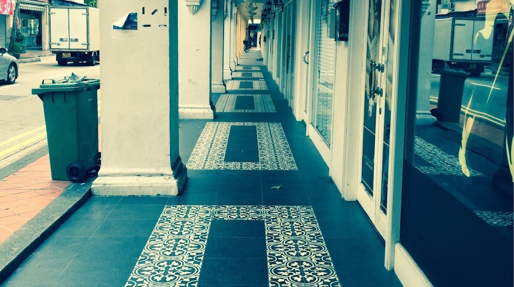 This road is one of the heritage roads in Singapore. Love the quaint neighborhood. Despite that it's only a few blocks away from the red light district, this area seems to be an upcoming trendy neighborhood with some cute little shops around.