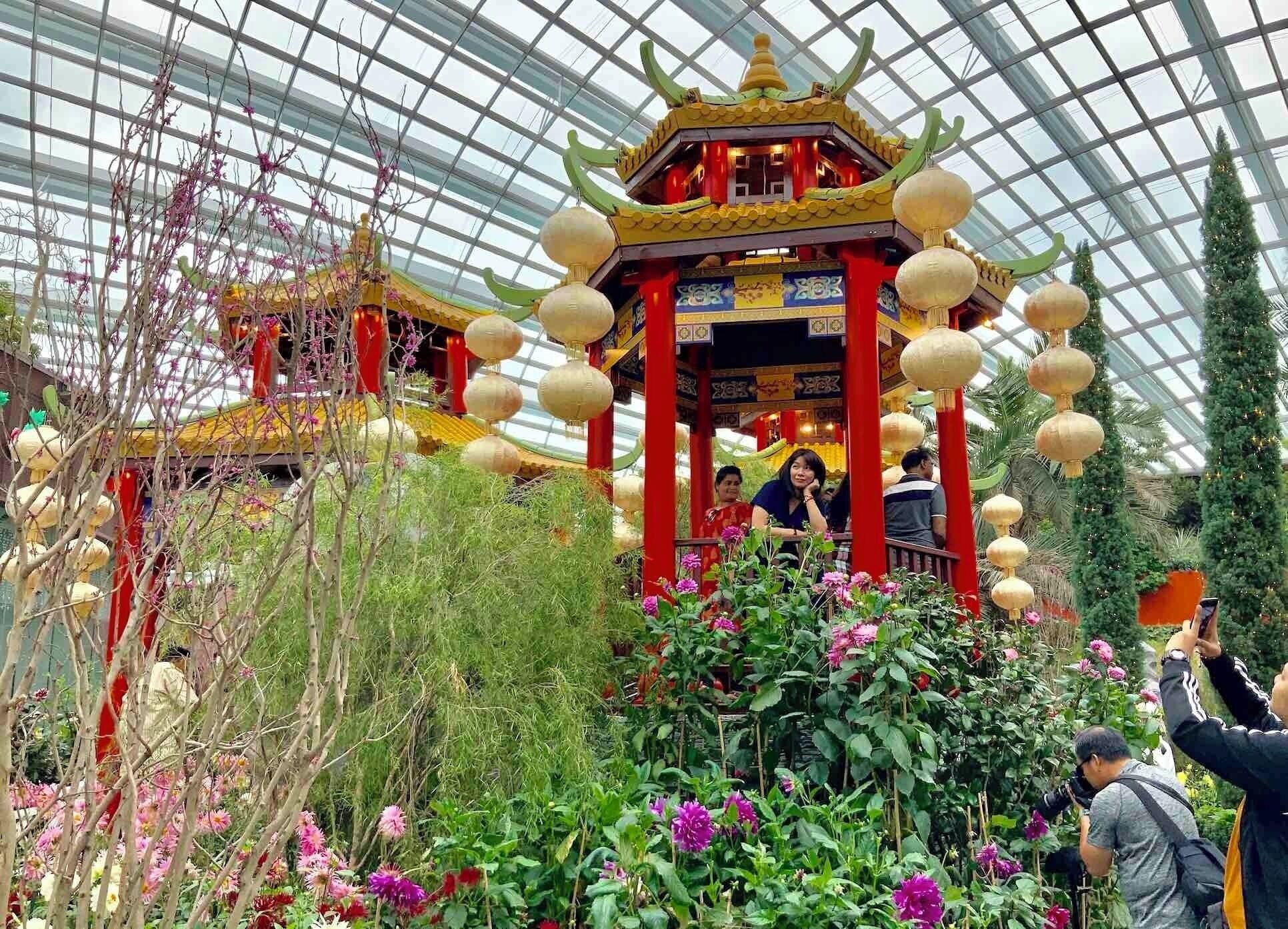 The theme is DAHLIA DREAMS.