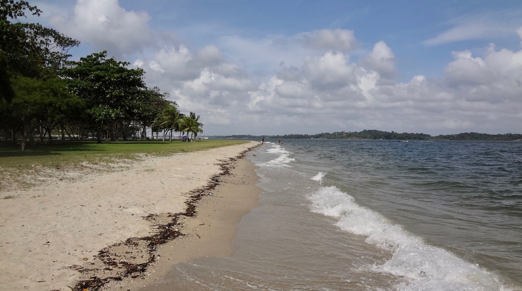 An iconic and absolutely gorgeous beach in the Algarve of Portugal.
The crystal clear blue waters makes it an ideal snorkeling spot.
There are breathtaking views over the beach (clearly), and beautiful nature trails to explore the surrounding area and cliffs.
Highly recommended beach spot.
#LifeAtExpedia #beaches #Portugal
