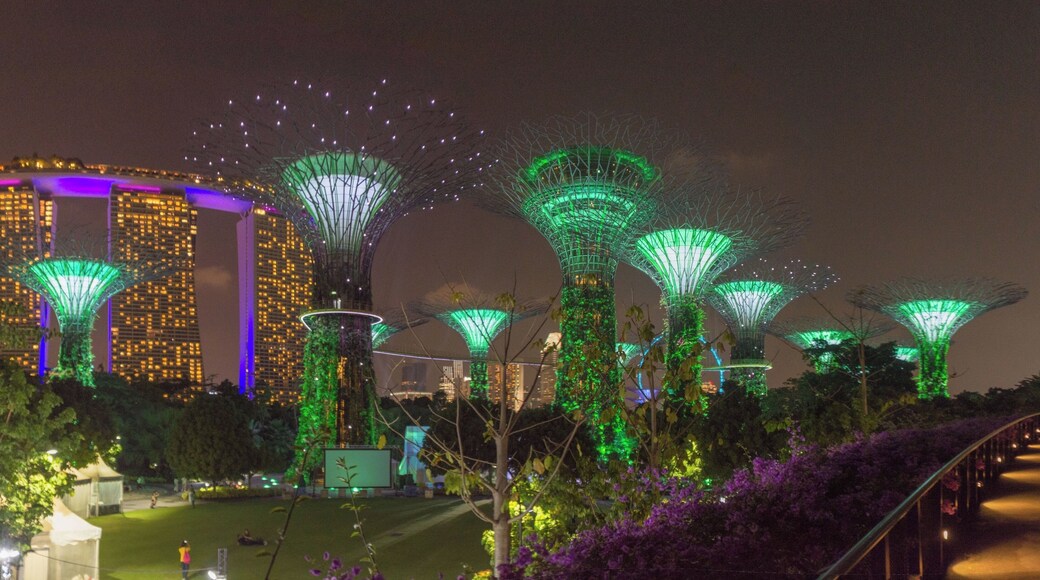 Please excuse the my poor night photography skills but I had to share a photo of the Supertrees at Gardens by the Bay, Singapore. My photo does not do justice to the gardens which at night when lit up has to be one of the most beautiful man made sights I have ever seen. If you go to Singapore do not miss this place and try to be there for the Garden Rhapsody music show. #Singapore #Gardens by the Bay #Supertree #Marine Bay Sands