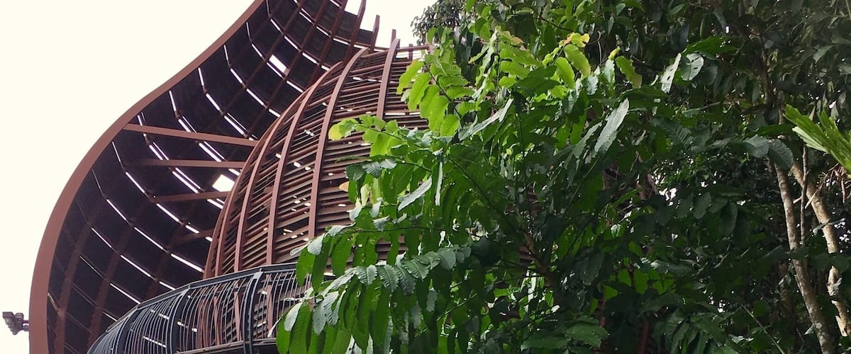 Beautiful sky basket for birds watching - Singapore. A wonderful spend in the national reserve to watch the wildlife. #Singapore #red #redphoto #landscape #travel
