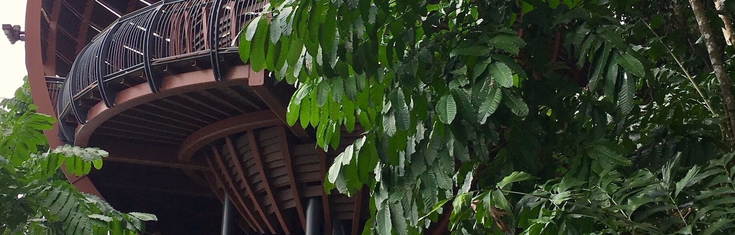 Beautiful sky basket for birds watching - Singapore. A wonderful spend in the national reserve to watch the wildlife. #Singapore #red #redphoto #landscape #travel