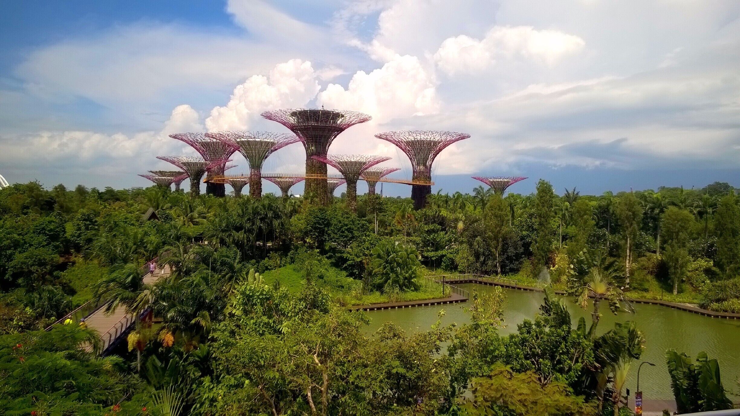 My favorite spot in the incredible #Singapore: Gardens By The Bay. If you're ever in Singapore, its a must! Also one of the most recognized places in the world.  