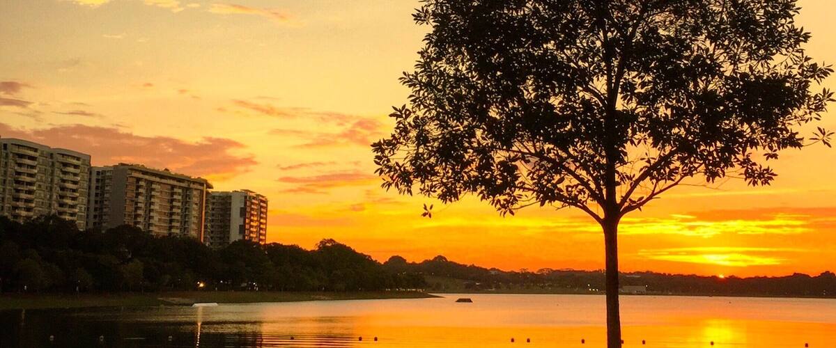 You don't have to go away to getaway! Scenes like these just helps you let everything go and just admire the beauty... Even if it's just for a little while.
#WeekendGetaway
#reservoir
#singapore
#sunset
#waterlust