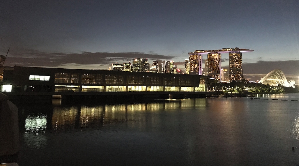 #Reflections #LifeAtExpedia
View of the Marina Barrange, Gardens Bay the Bay and Marina Bay Sands from the actual Barrage. The sky returns vivid hues as the sun sets