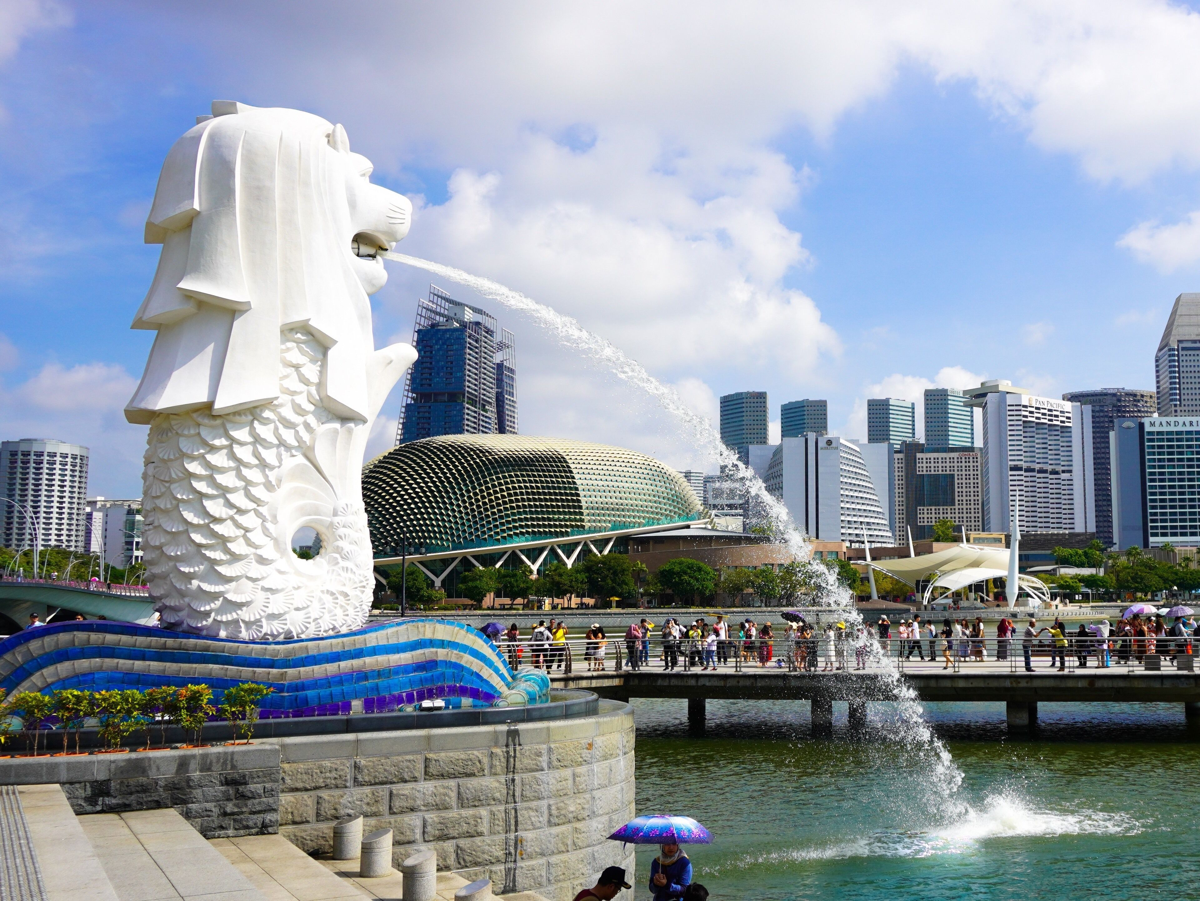 🇸🇬 Singapore #LifeAtExpediaGroup