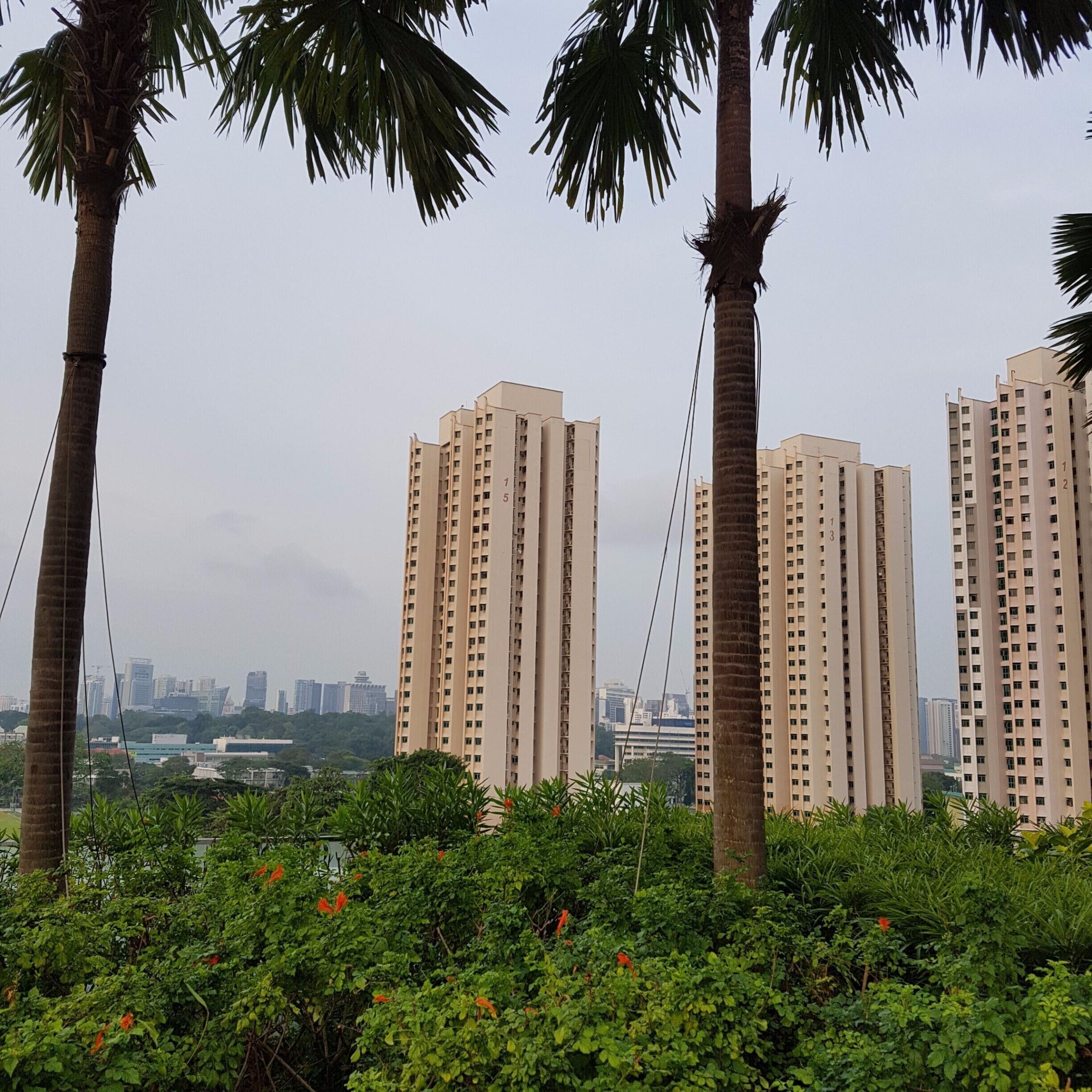 Thanks to jetlag (it can have its pros), I got to enjoy a rooftop swim in the early hours all to myself. It also meant I got to enjoy views like this across the city. #StunningStructures #Singapore #travel #OneFarrer