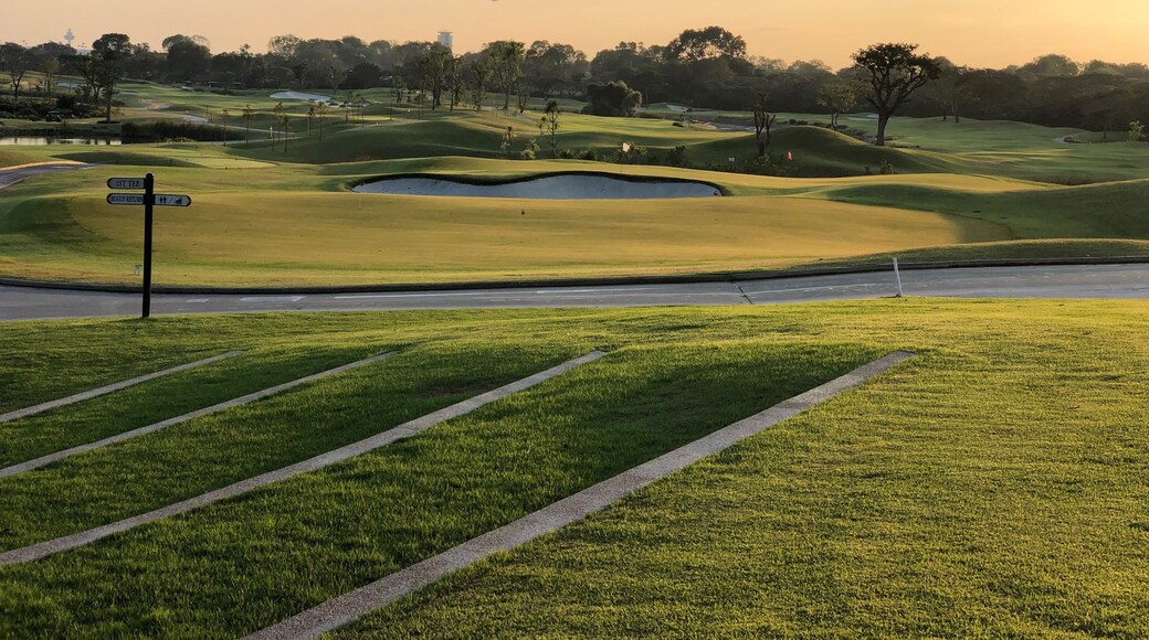 Perfect weather for Golf