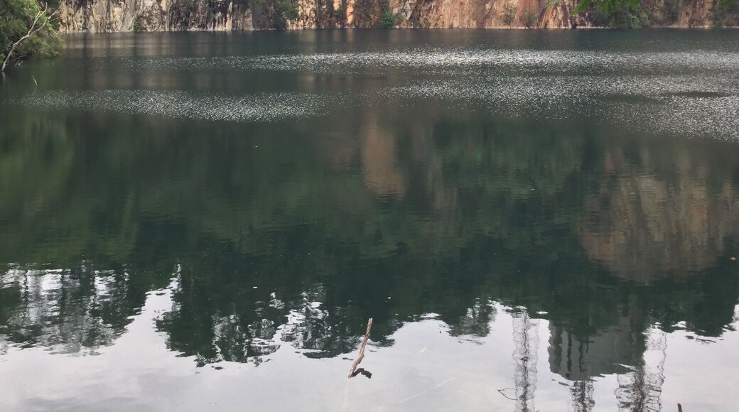 Granite quarry in Bukit Timah Nature reserve... Its is an inland lake formed through deposition of rain water. You can spot turtles and fishes