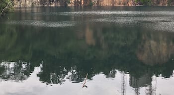 Granite quarry in Bukit Timah Nature reserve... Its is an inland lake formed through deposition of rain water. You can spot turtles and fishes