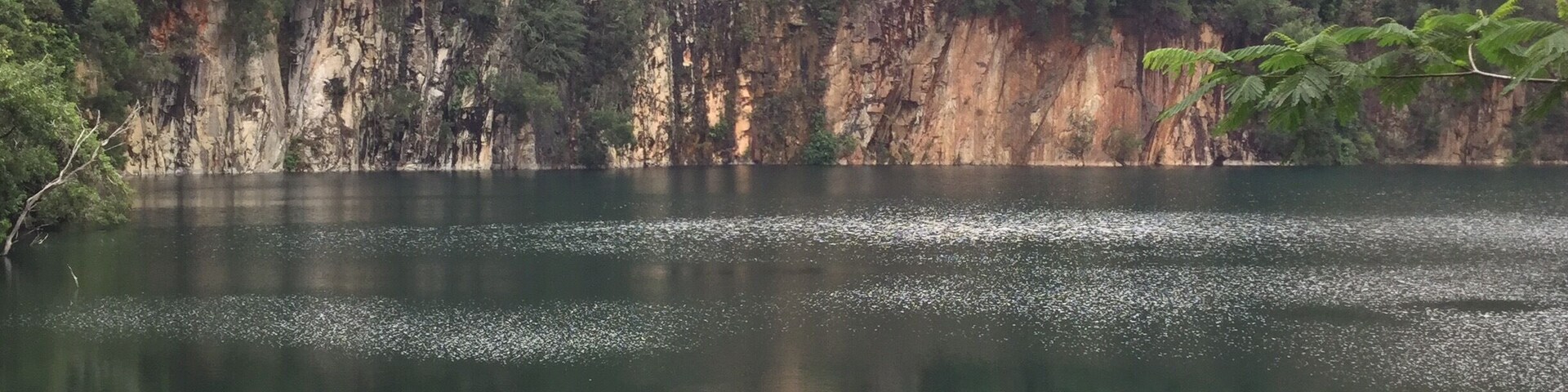 Granite quarry in Bukit Timah Nature reserve... Its is an inland lake formed through deposition of rain water. You can spot turtles and fishes