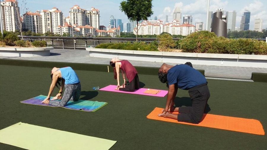 Spotted! Outdoor venue for yoga
•spacious, windy
•near mrt, overlooking kallang river and rue cross
•quiet space
•covered and non covered area
#yoga #outdooryoga