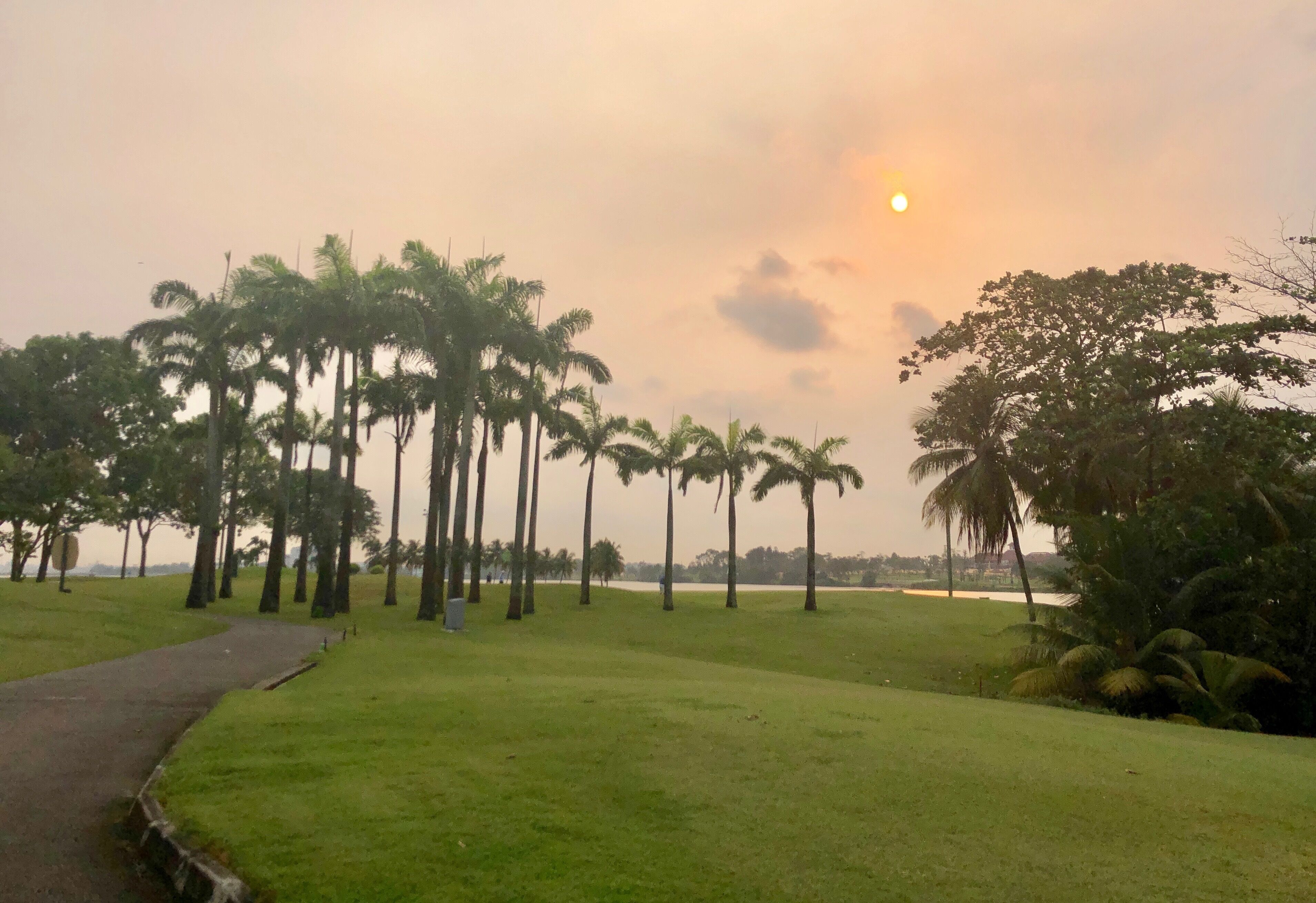 Nice surroundings here 