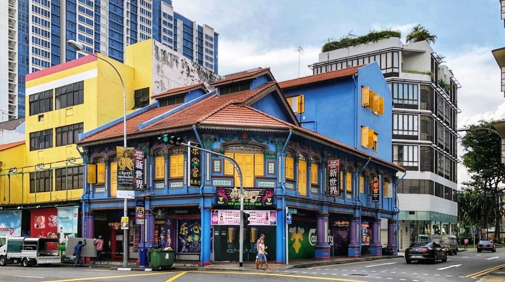 Peranakan (Straits Settlement) style building on Jalan Besar at Petain Rd. (January 2019)
#History