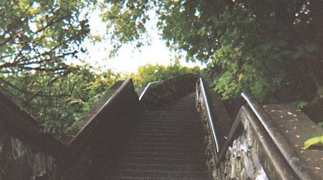 The stairwell leading up to the spot where the Alaska Territory was transferred from Russia to the United States October 13, 1867.
https://davenotravels.blog
#culture