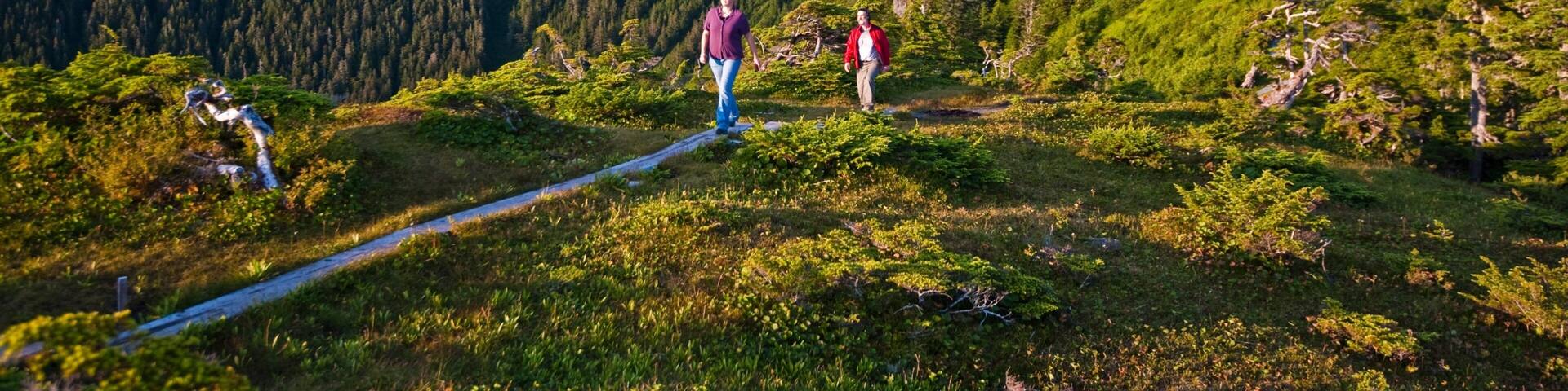 Sitka showing tranquil scenes and mountains as well as a small group of people