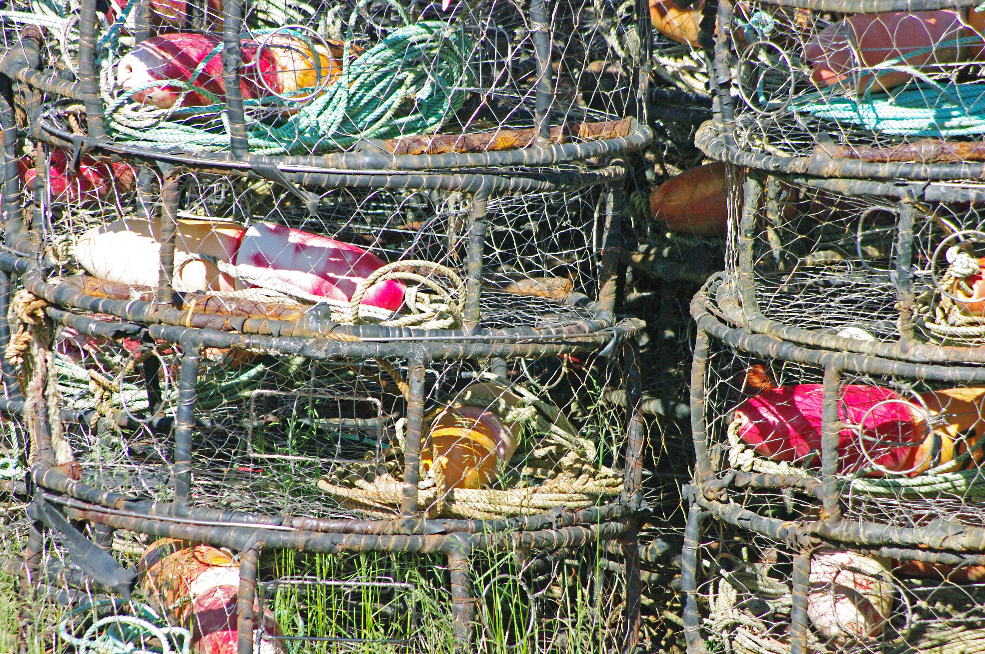 Along the piers in Sitka we came across stacks of colorful fishing traps all prepared for loading onto the fishing boats for deployment.