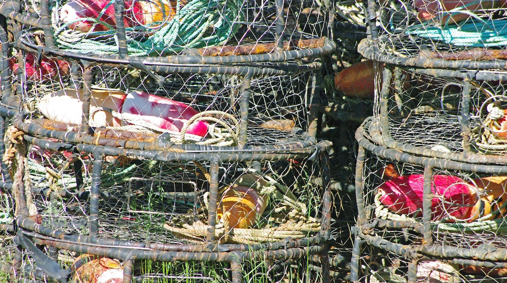 Along the piers in Sitka we came across stacks of colorful fishing traps all prepared for loading onto the fishing boats for deployment.