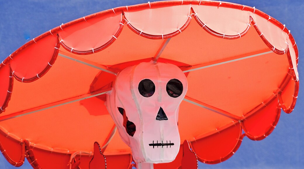 Streets of San Jose.