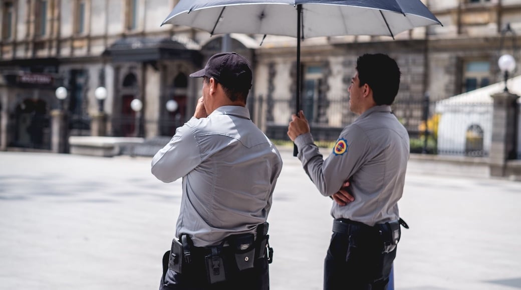 To serve and to protect from the sun